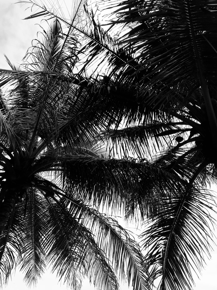 When it’s all Crisscrossed
