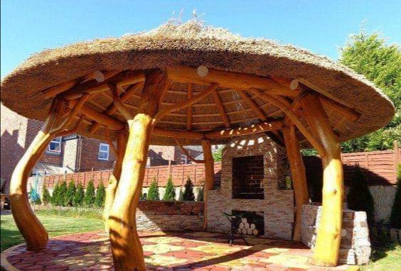 picnic time
