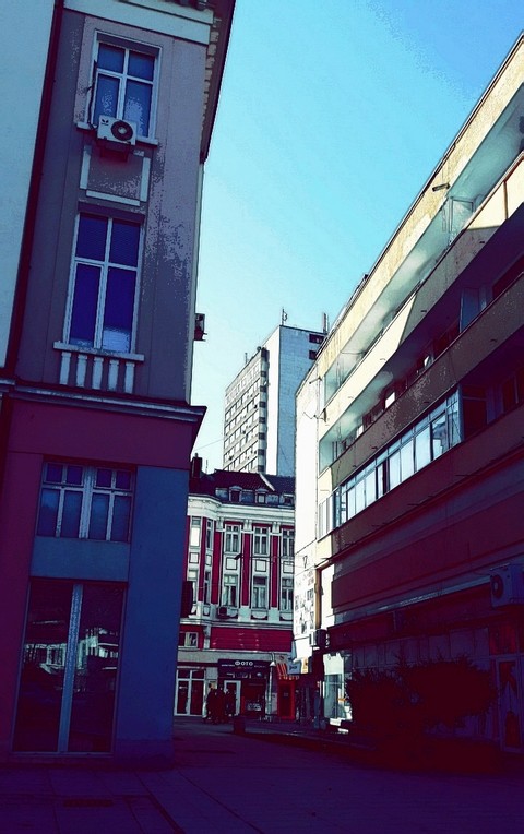 City Jungle