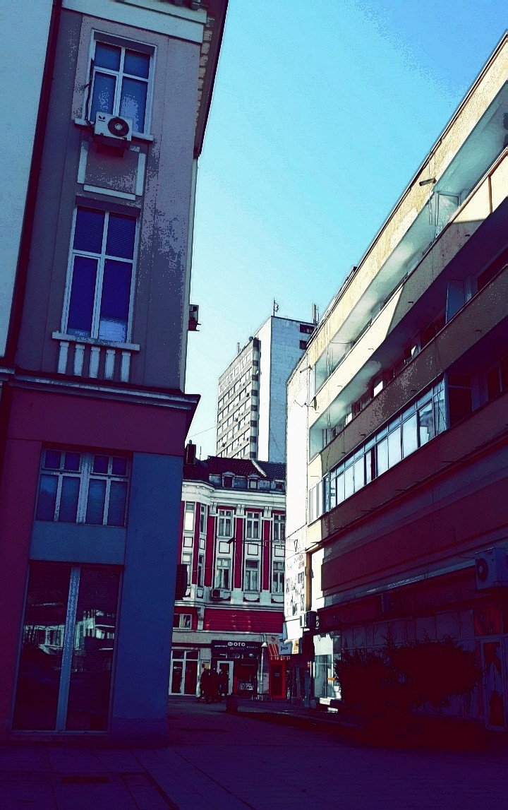 City Jungle