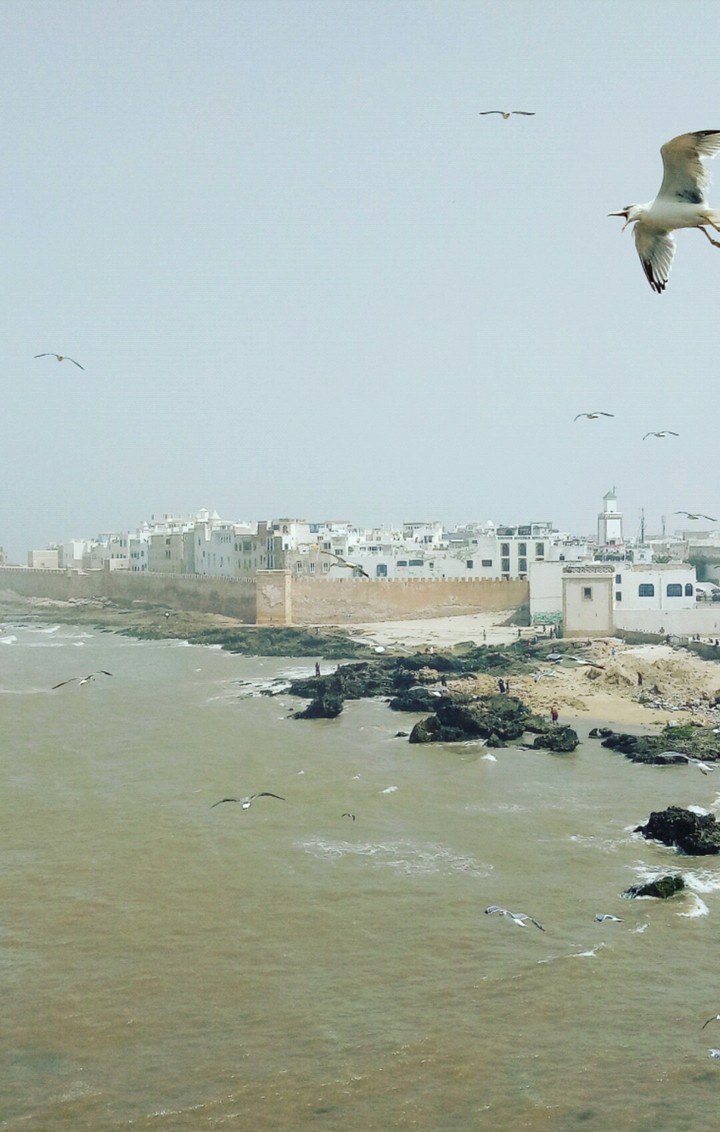 Essaouira "mogador"