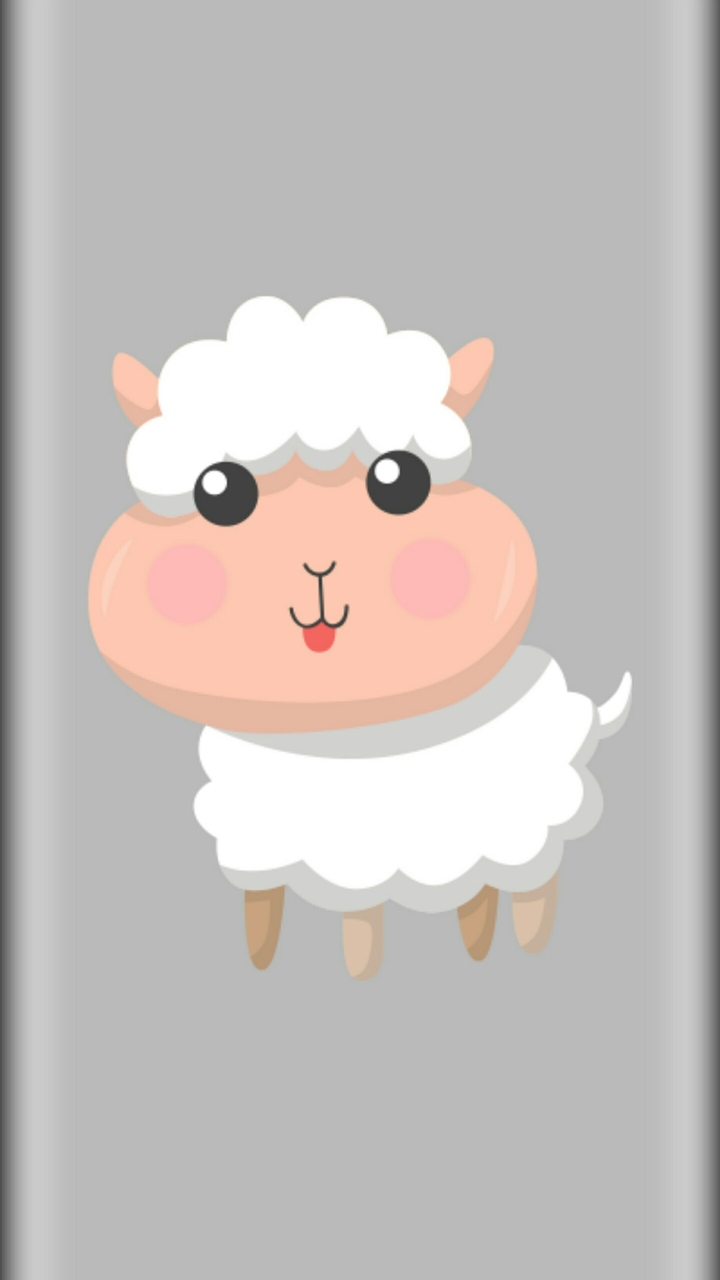 animal