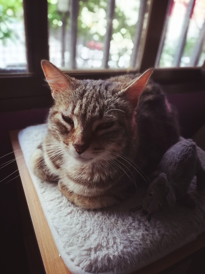 Zen