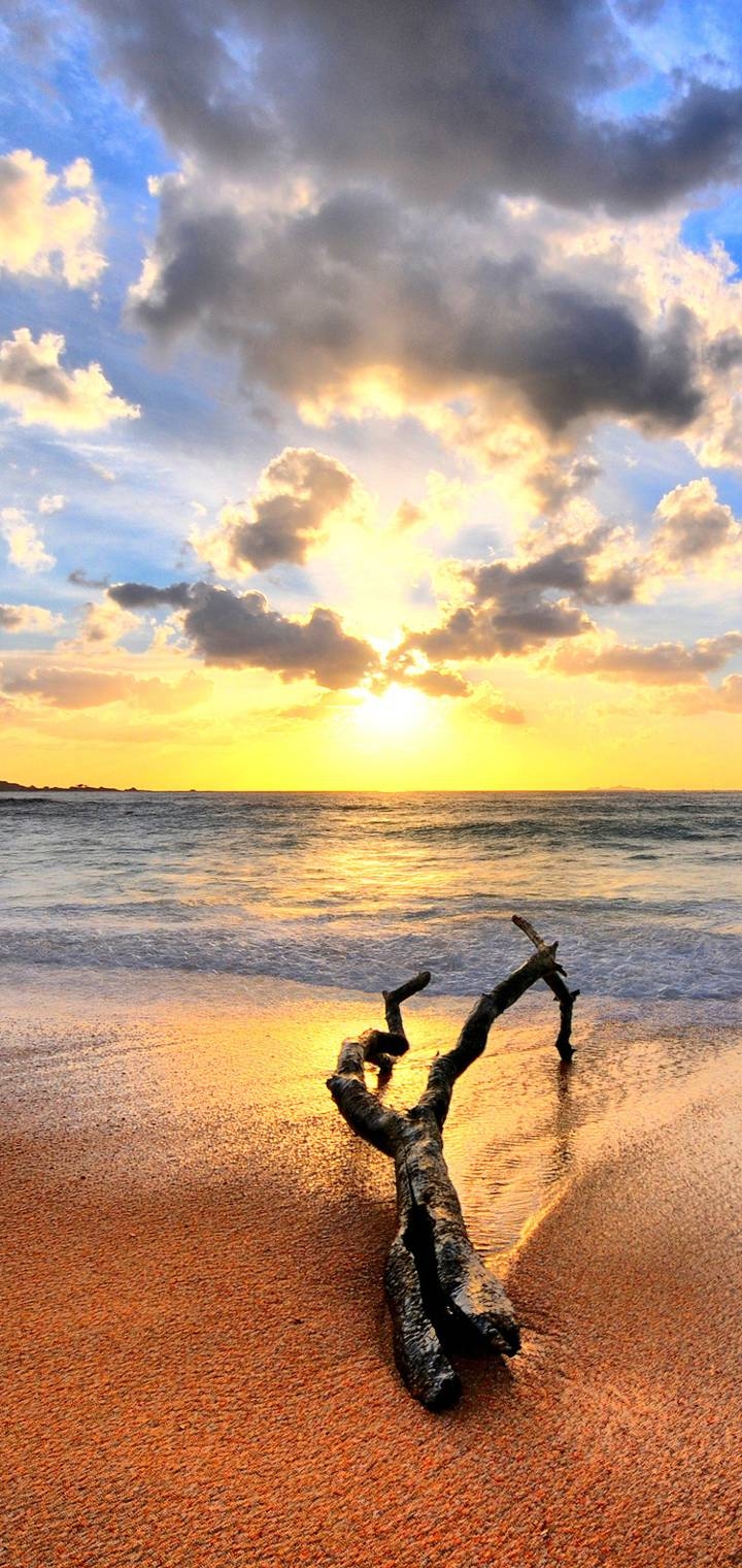 sea