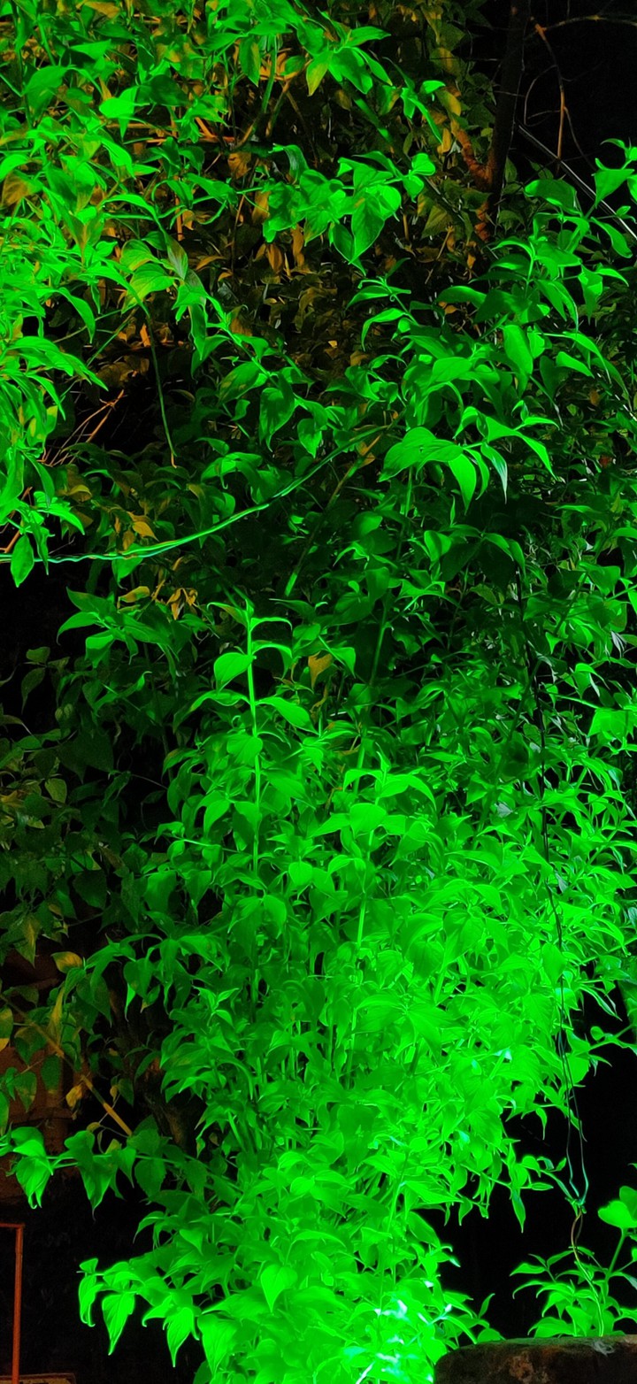 Green Mode