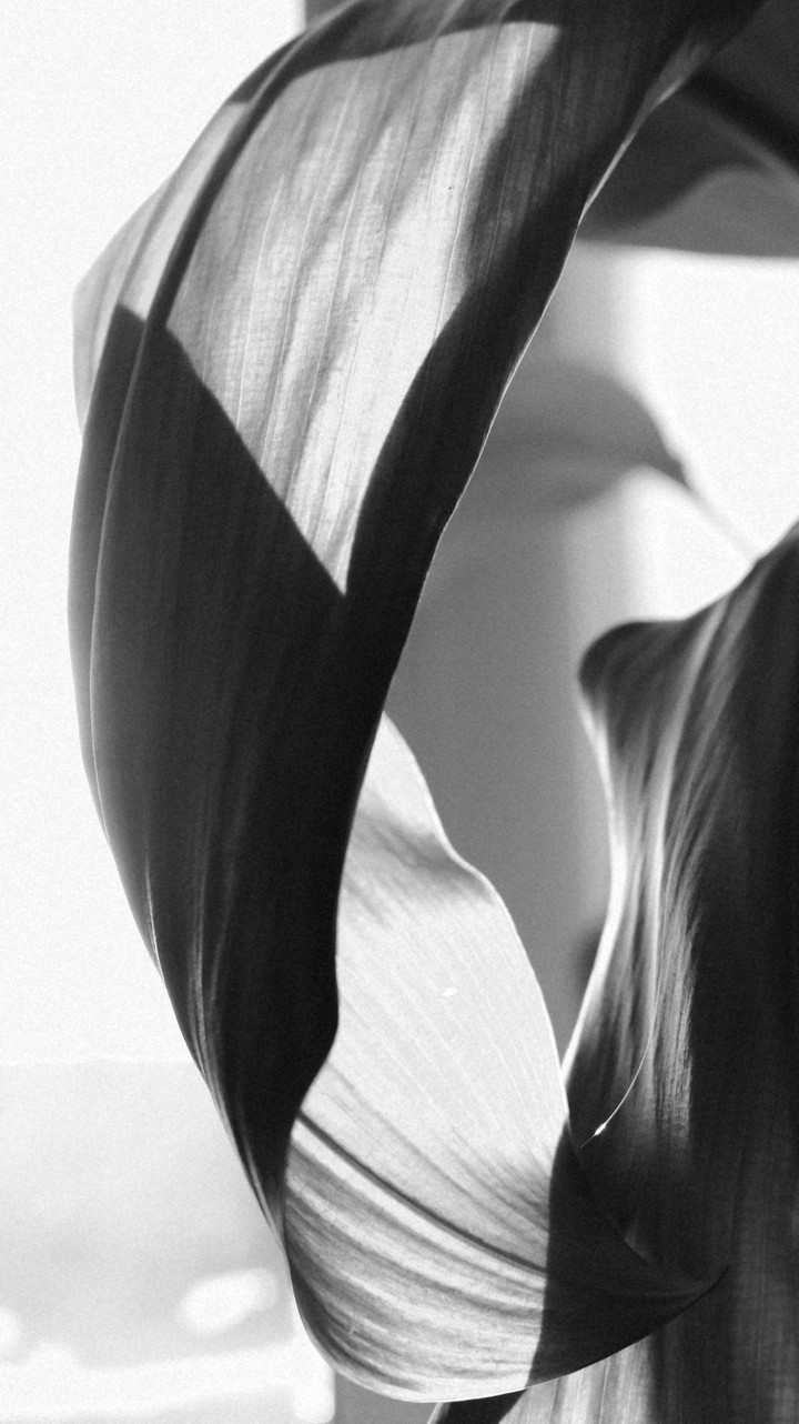 light and shadow