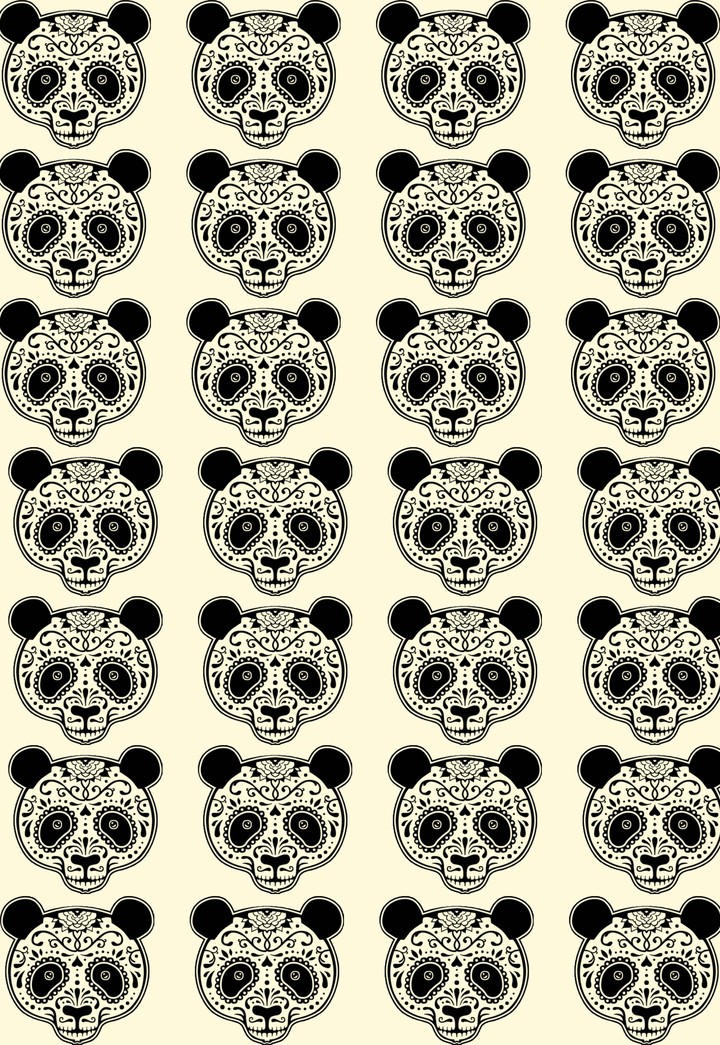 bear