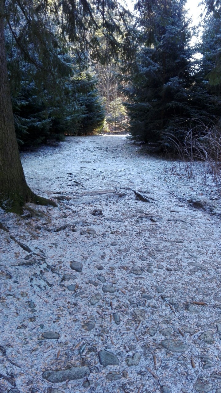la natura è uno spettacolo da capire