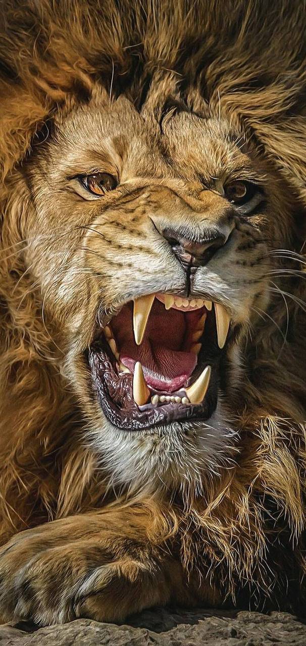 Roaring Lion