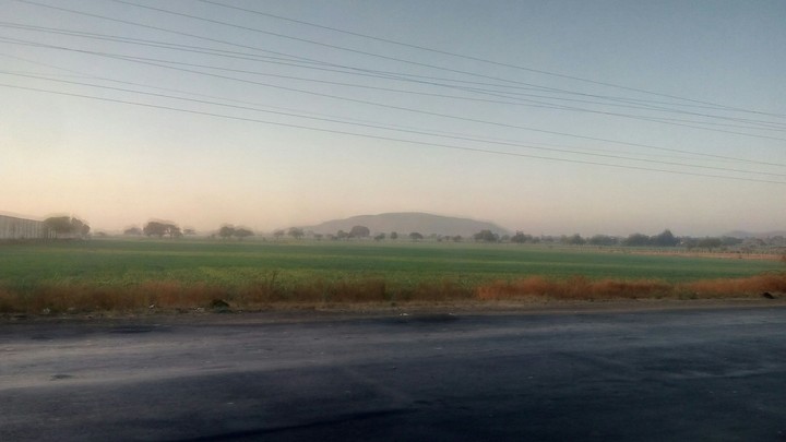 nature