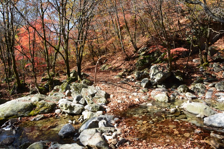 산이미지
