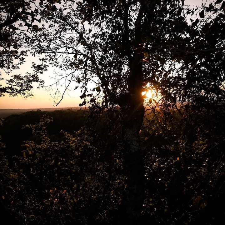 sun