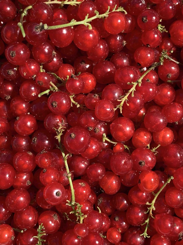 redberry