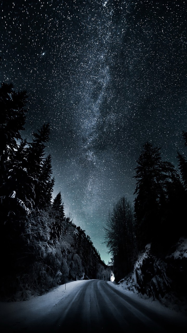 NIGHT
