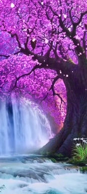 Nature.