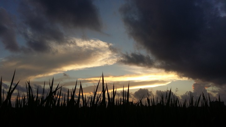 bình yên nơi đâu.