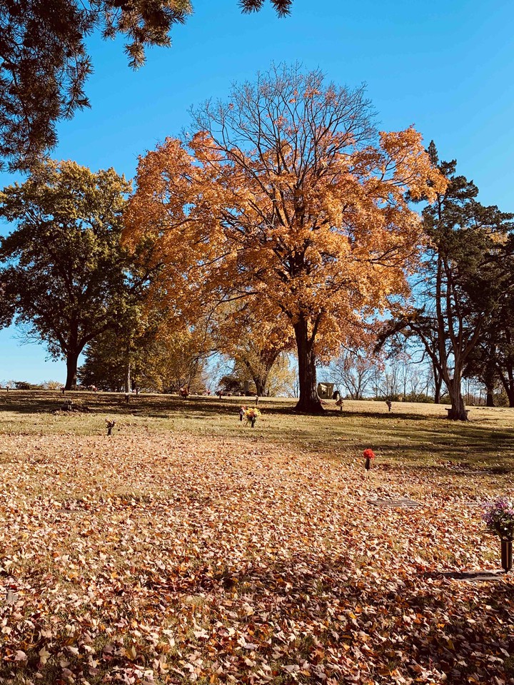 fall