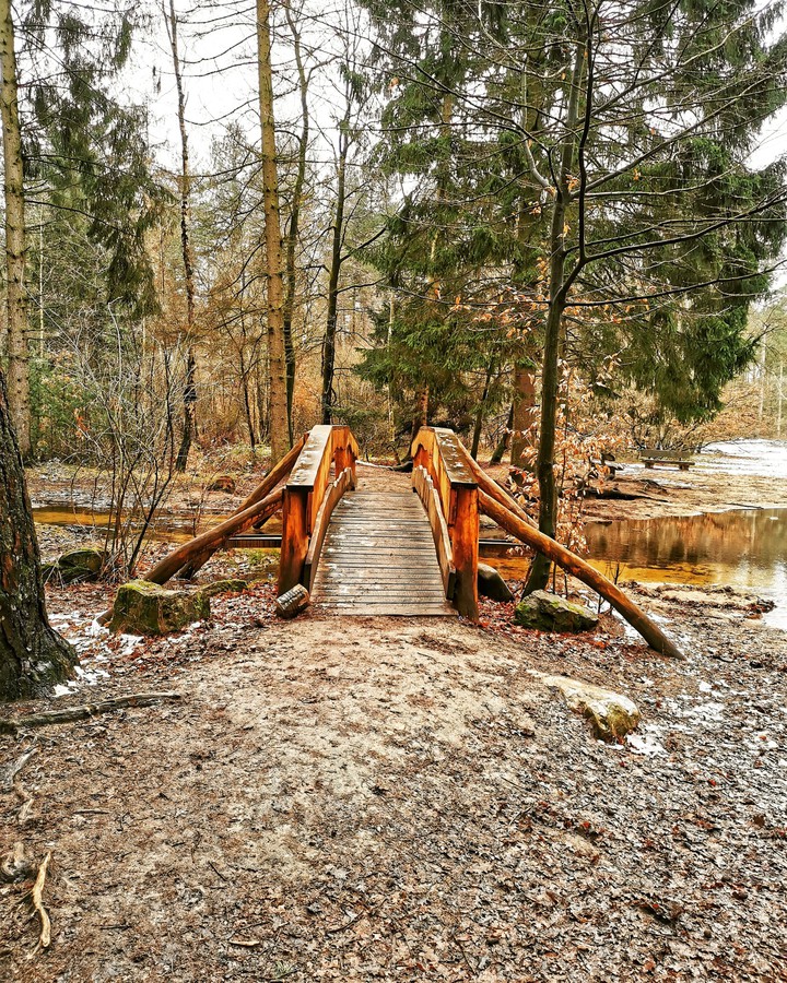 Königsforst