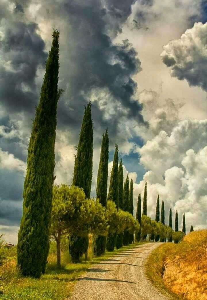 Road to home