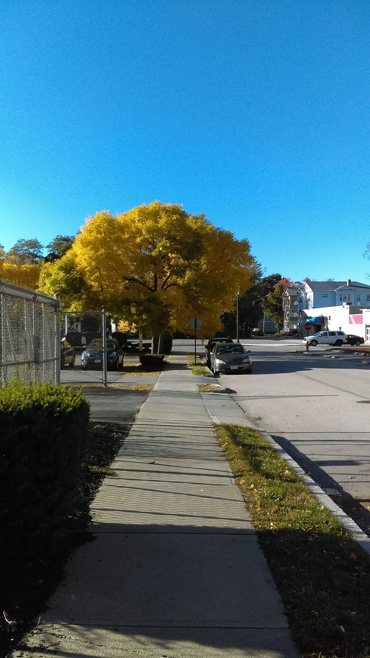 Fall Season
