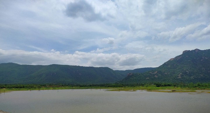 nature