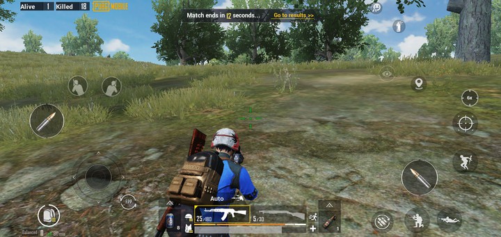 Pro of pubg
