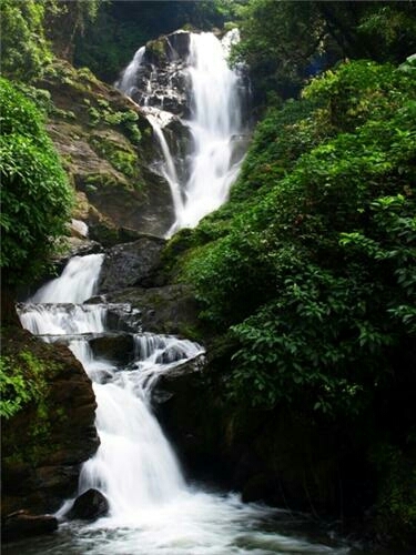 Wonderful Natural