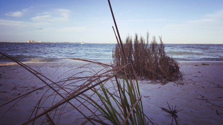 sanibel beach