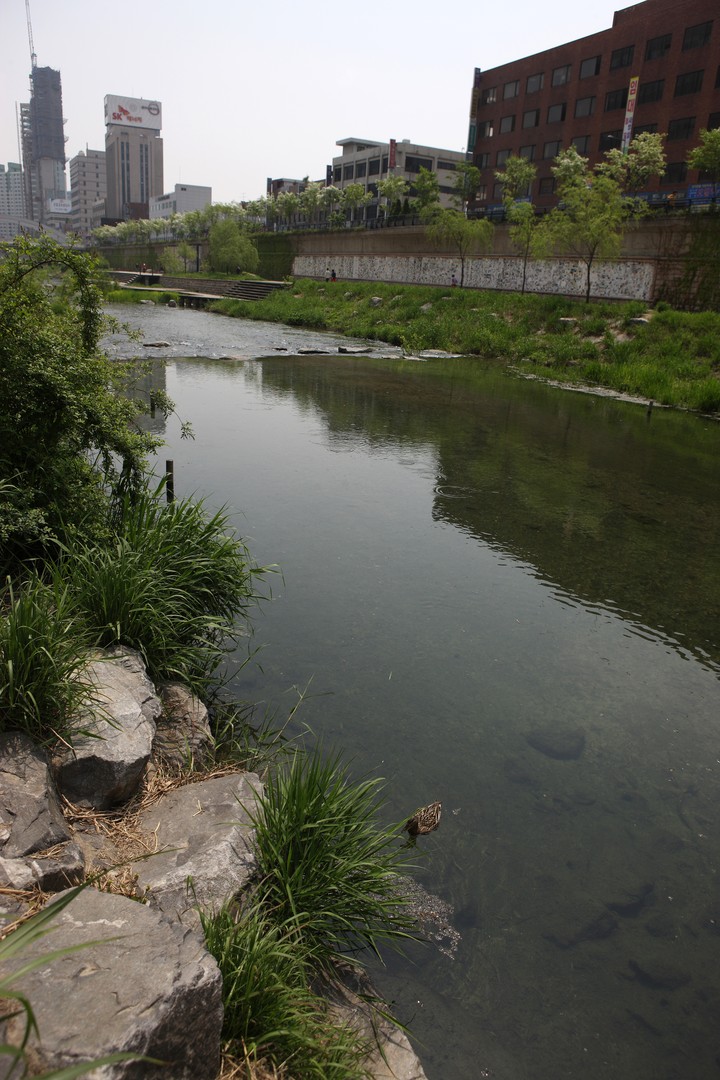 Cheonggyecheon Stream