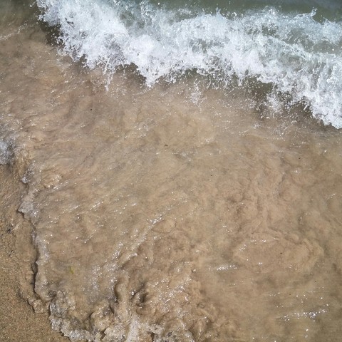 beach photo