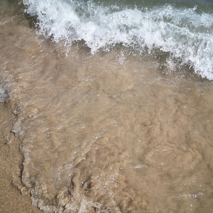 beach photo