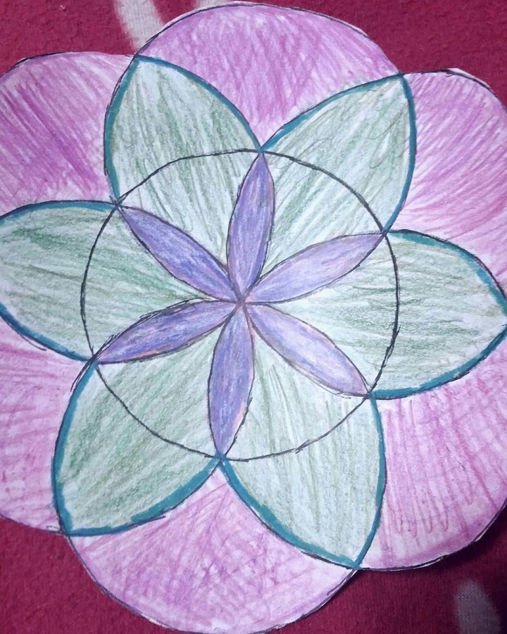 Blume gezeichnet