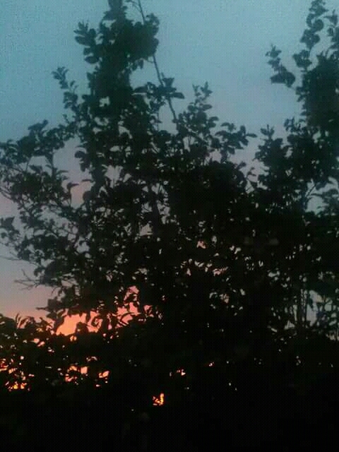 sunset