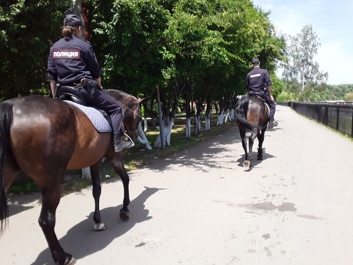 Конная полиция в парке