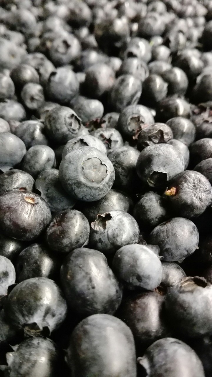 Blueberry