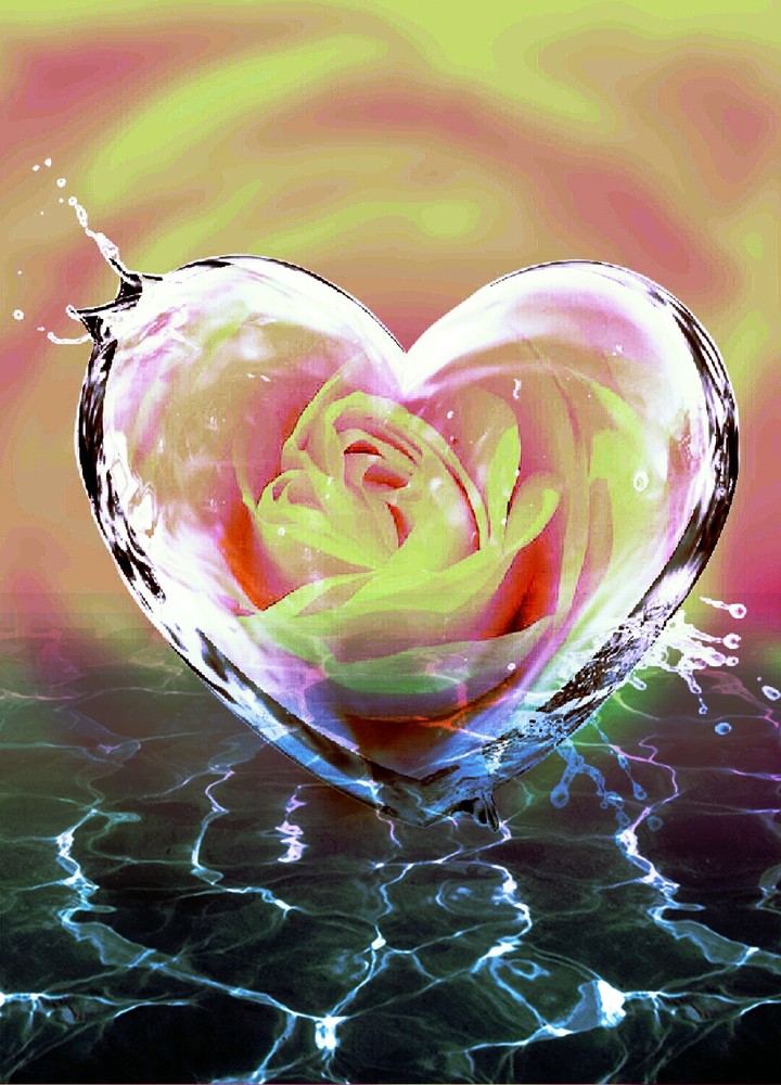 Flower in your Heart