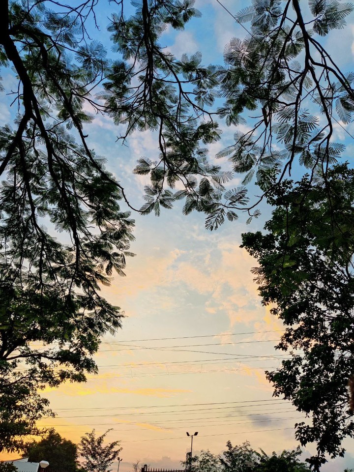 Natural Scenery