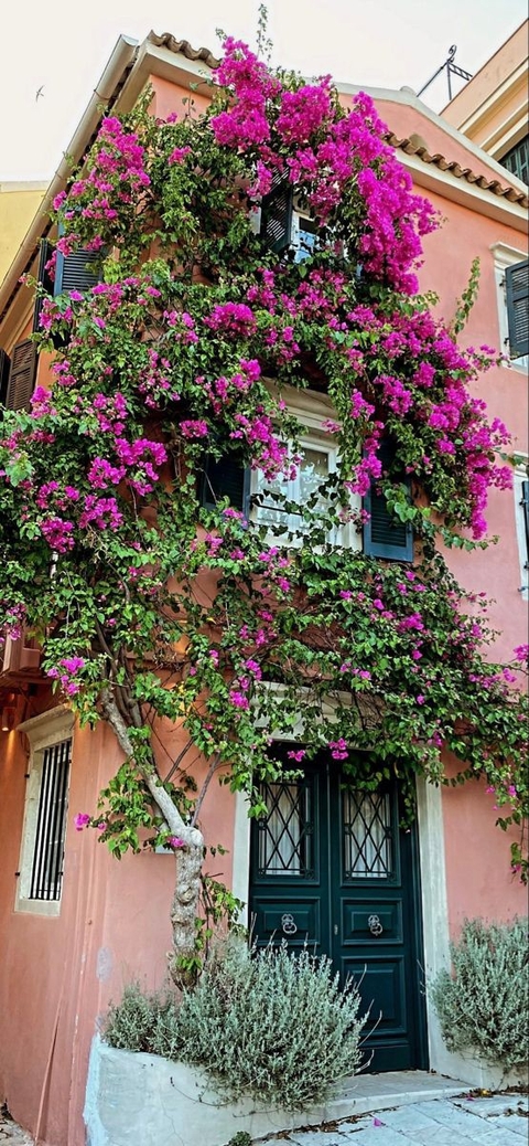 Colorful front facade (Parga, Greece)