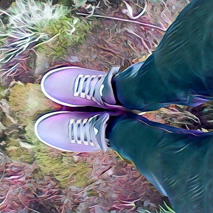 crazy land2