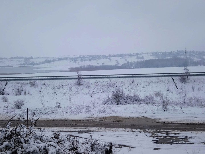 winter