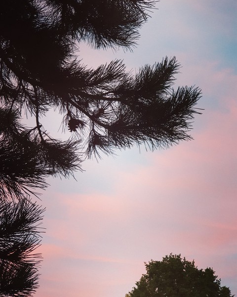 photooftheday