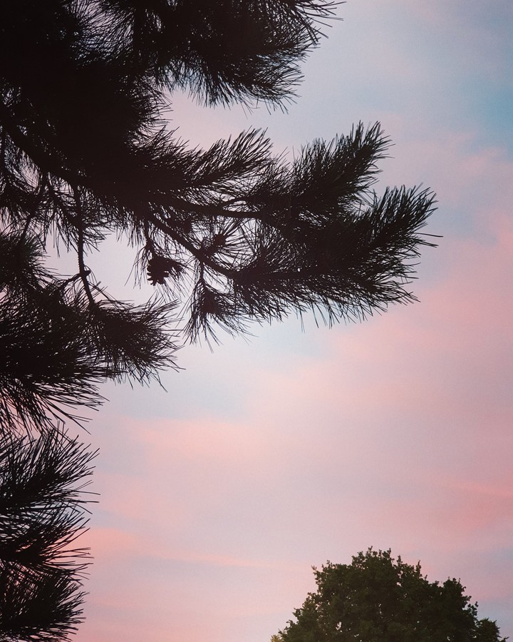 photooftheday