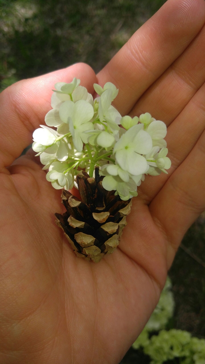 for you