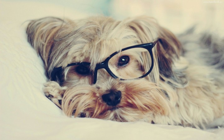 sweet ;)