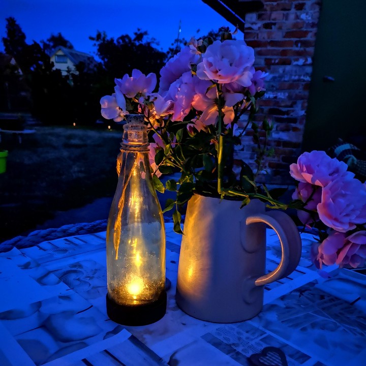 Night