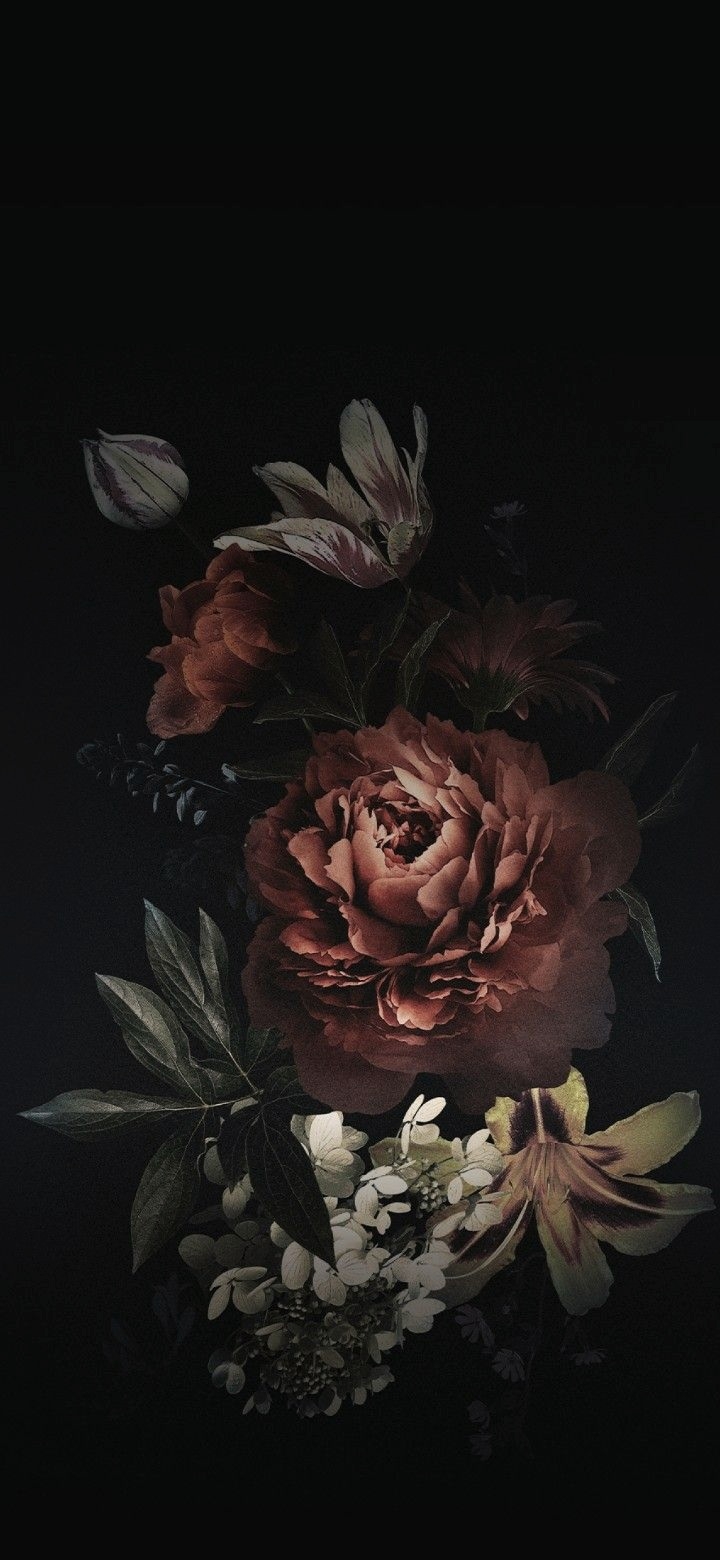 FLOWERS IN THE DARKNESS