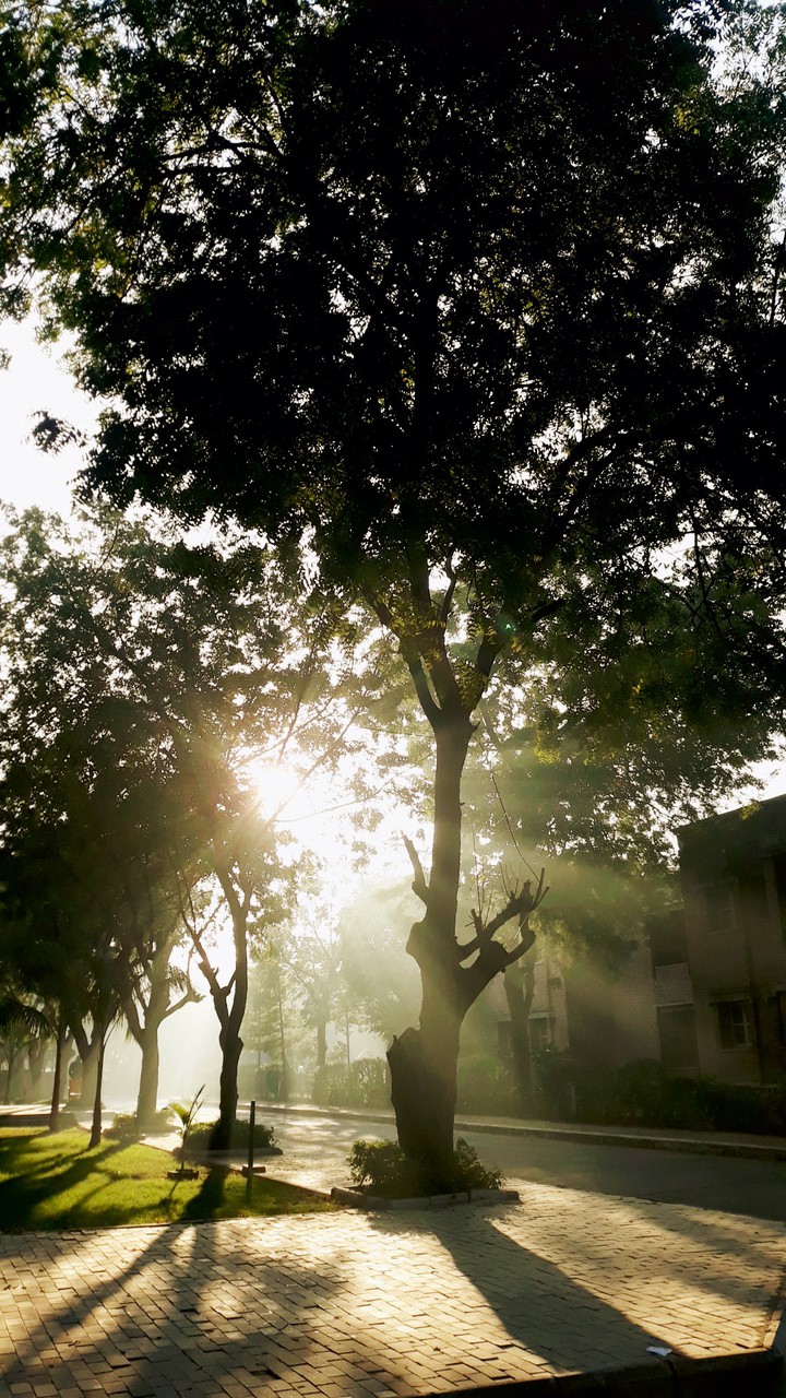 A cold morning