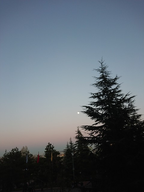 Sky