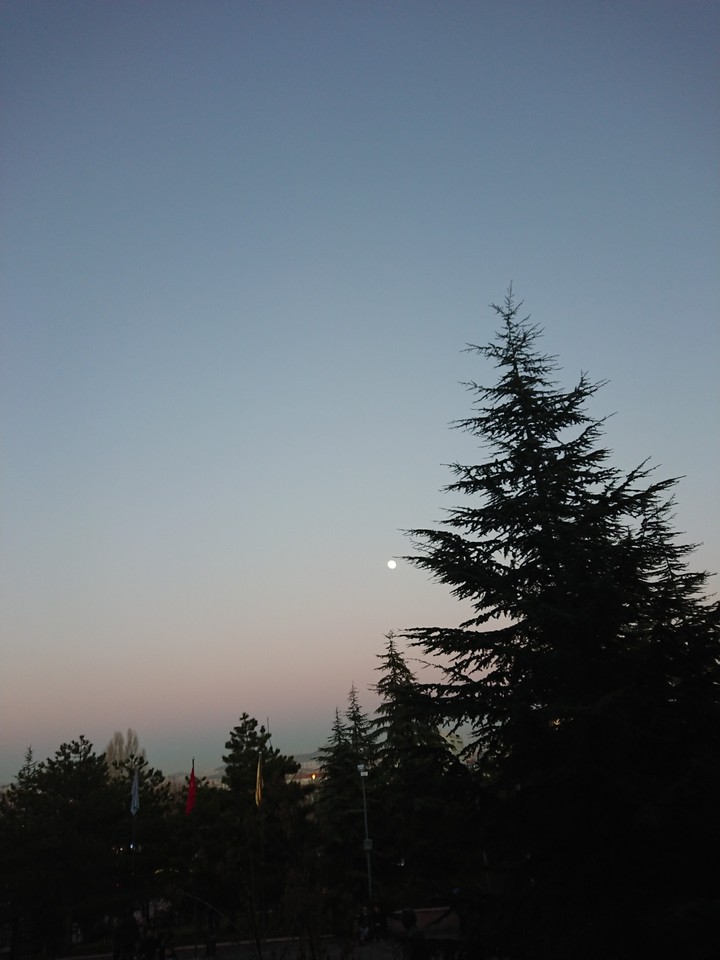 Sky