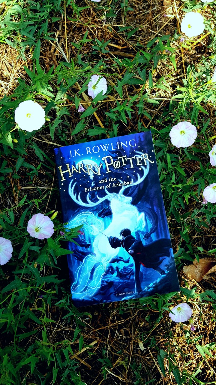 Harry Potter